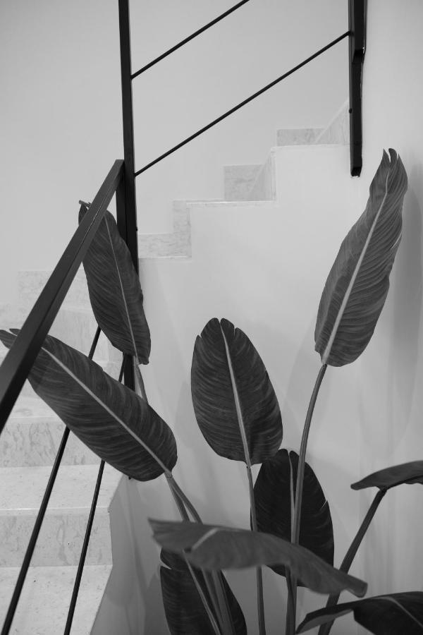 B&B Toci ヴォッラ エクステリア 写真